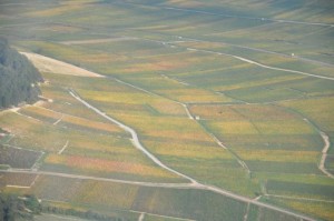 Ah les vignes! Ici Monthélie.